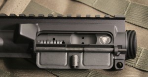 Blog upper w bison bolt